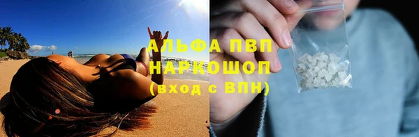 ECSTASY Волоколамск