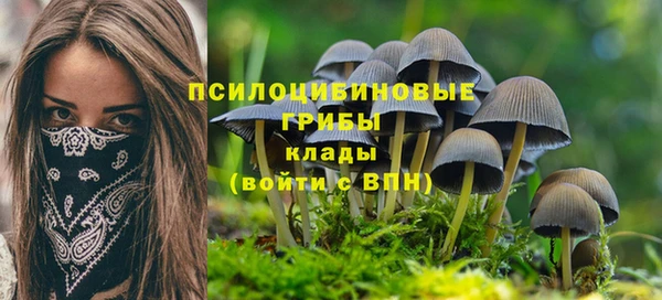 ECSTASY Волоколамск